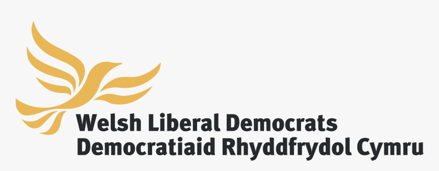 Welsh Liberal Democrats Png - Liberal Democrats, Transparent Png, Free Download