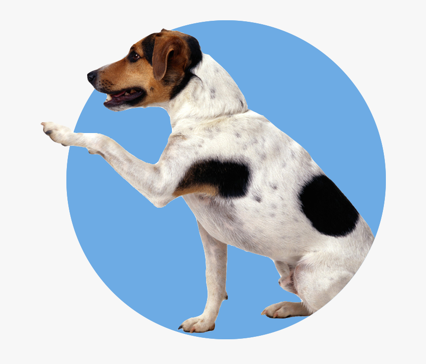 Handshake Dog Png, Transparent Png, Free Download