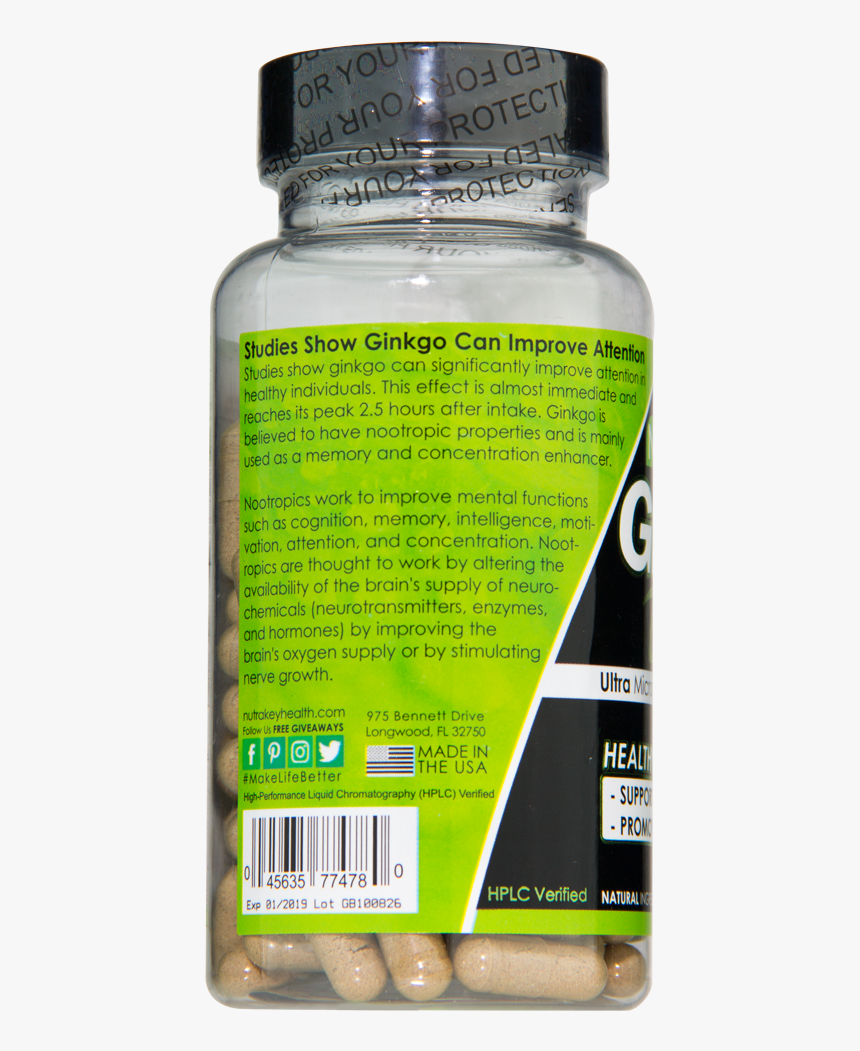 Ginkgo Biloba - Sports Drink, HD Png Download, Free Download