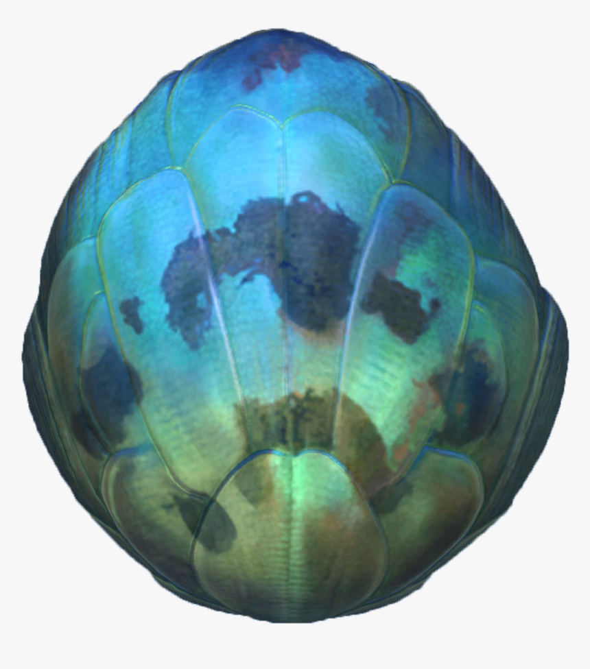 Subnautica Sea Dragon Egg , Png Download - Subnautica Mesmer Egg, Transparent Png, Free Download