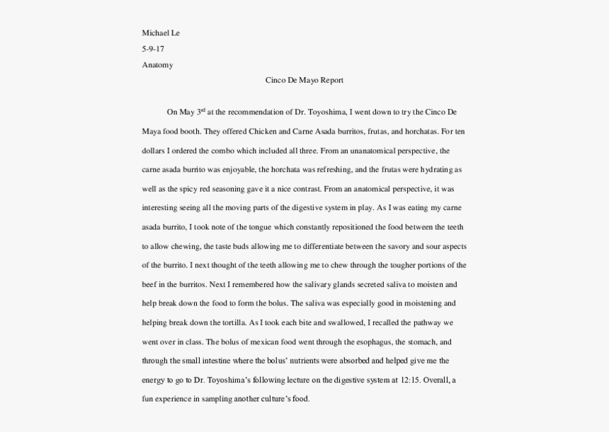 Essay, HD Png Download, Free Download