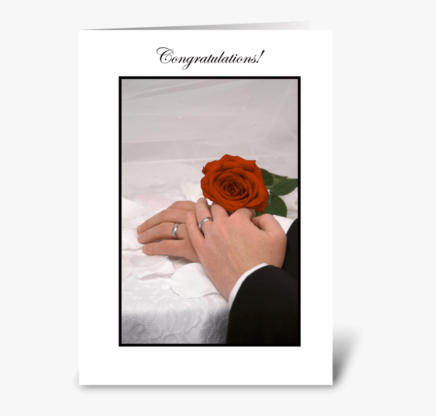 Congratulations Greeting Card - Garden Roses, HD Png Download, Free Download