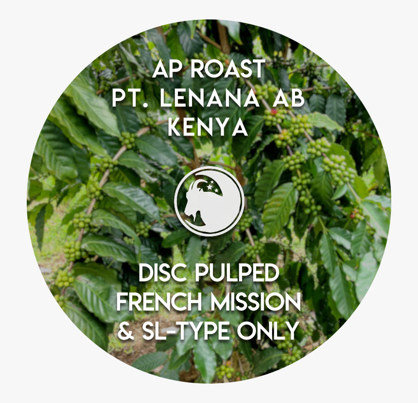 Lenana - Coffee Plantation In Kenya, HD Png Download, Free Download