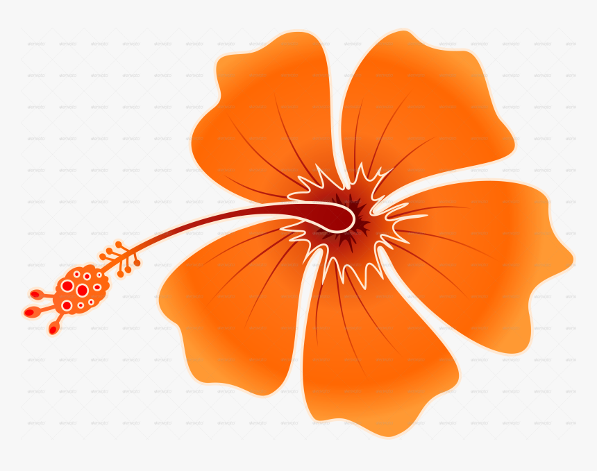 54+ Joba Flower Vector PNG