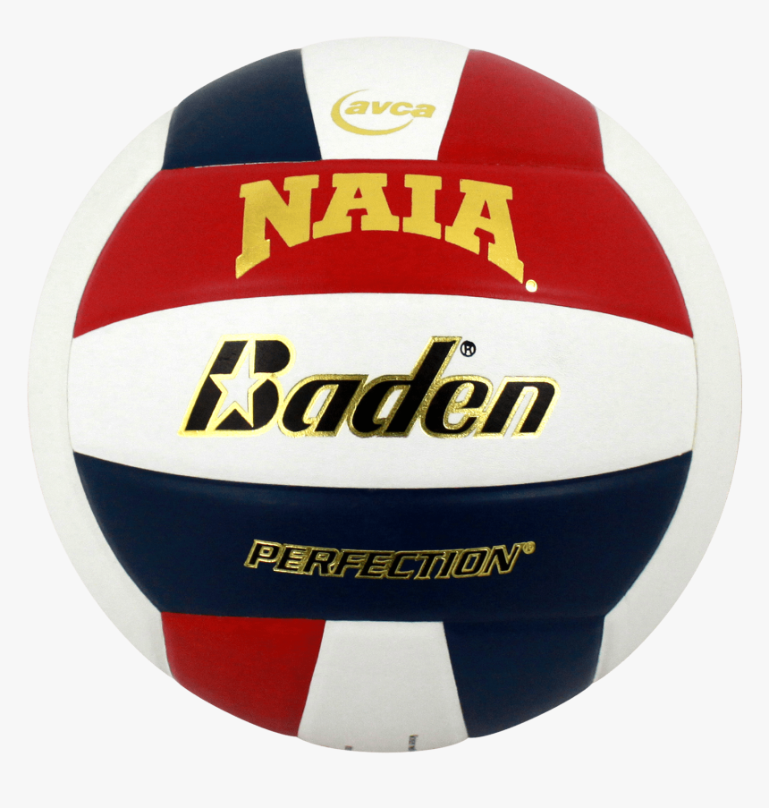 Official Naia Perfection Leather Volleyball"
 Class= - Baden Volleyball, HD Png Download, Free Download