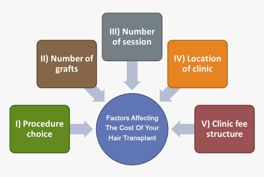 Most Significant Factors Affecting Cost Of Hair Transplant - Bullies Bully, HD Png Download, Free Download