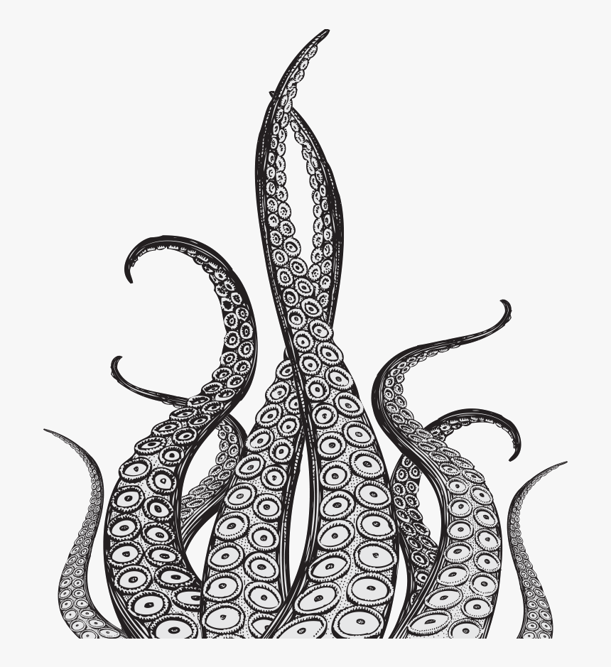 Tentacles Png, Transparent Png, Free Download