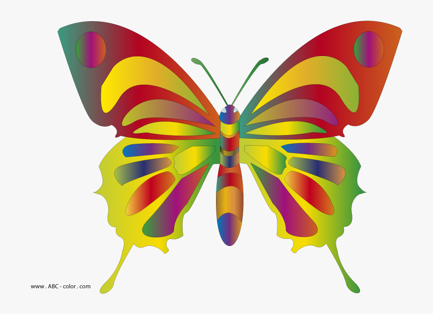 Transparent Lasso Clipart Png - Butterfly Clip Art, Png Download, Free Download