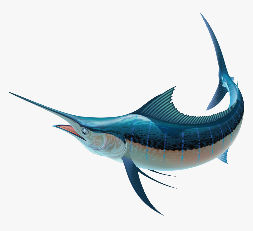 Sword Fish Clear Background, HD Png Download, Free Download