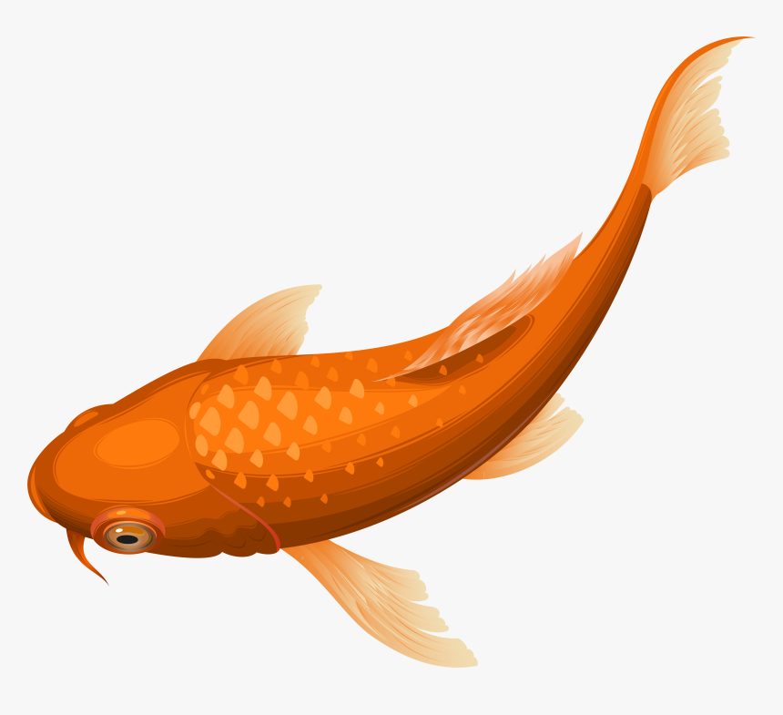 Orange Fish Transparent Clip, HD Png Download, Free Download