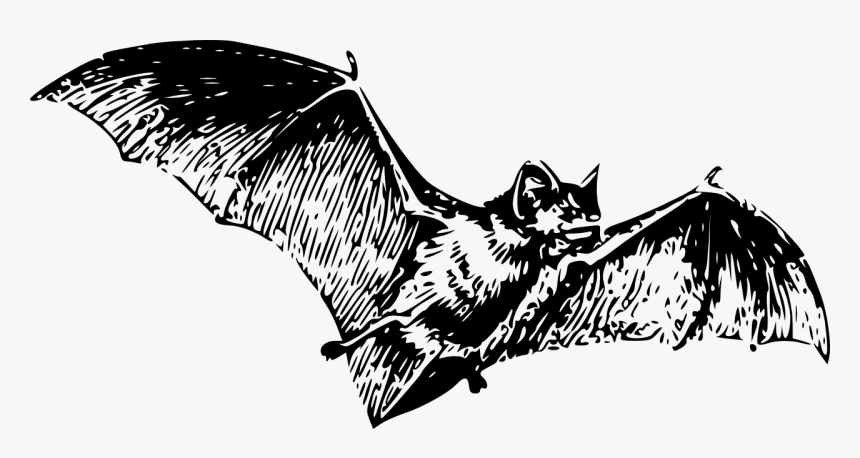 Large Bat Tattoo, HD Png Download, Free Download