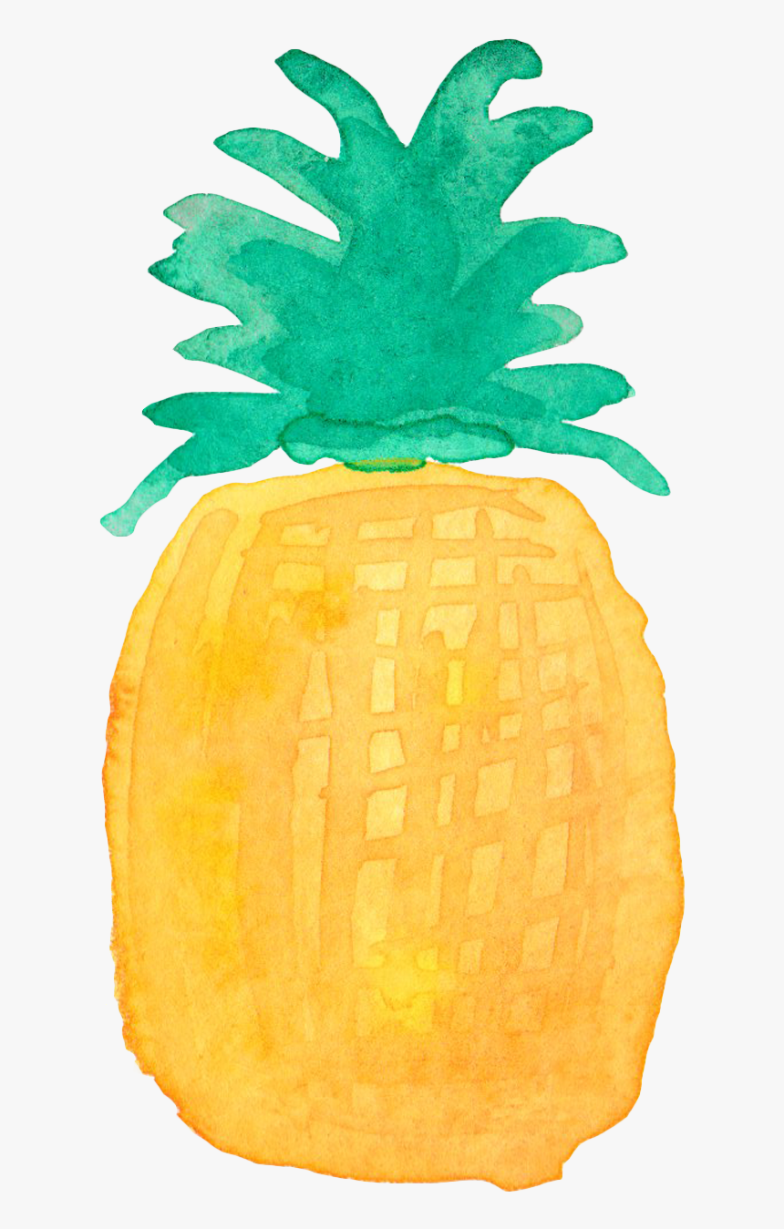 Pineapple Drawing Watercolor Painting, HD Png Download, Free Download