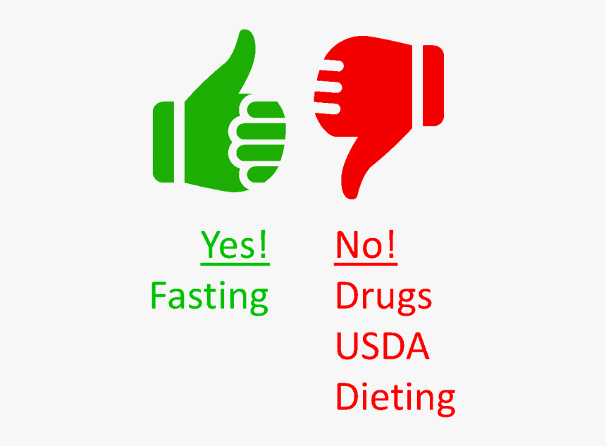 Yes To Fasting, HD Png Download, Free Download