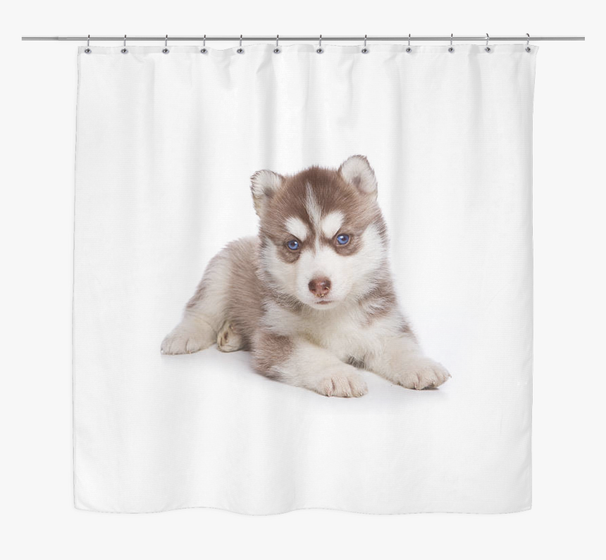 Siberian Husky Puppy Shower Curtain, HD Png Download, Free Download