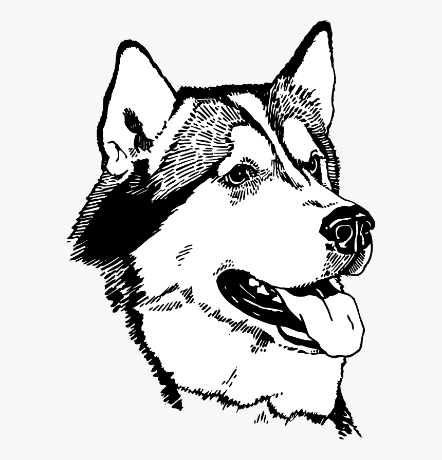 Husky Puppy Png, Transparent Png, Free Download