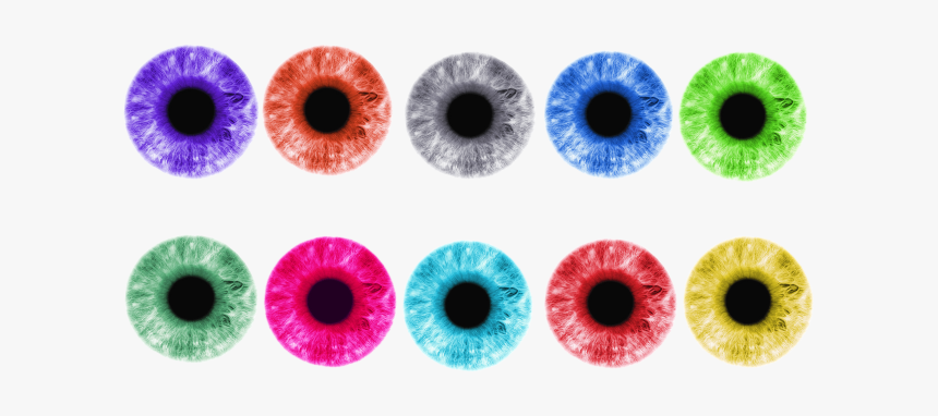 Eye Lens Png Image File, Transparent Png, Free Download