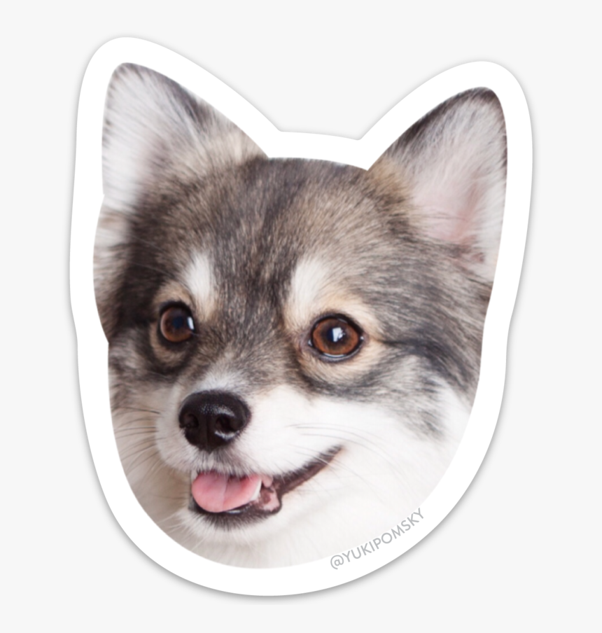 Transparent Husky Puppy Png, Png Download, Free Download