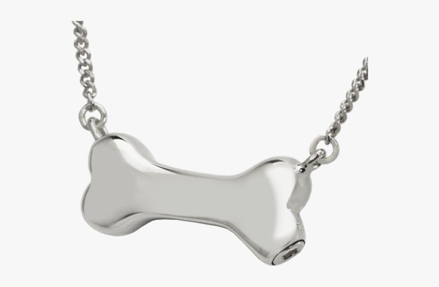 White Dog Bone Png, Transparent Png, Free Download