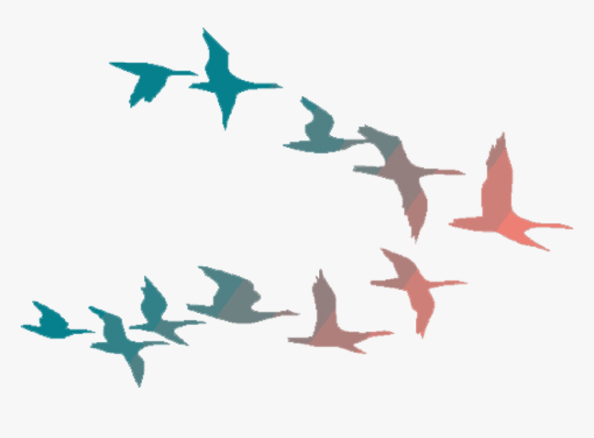 Free Png Colorful Flying Birds Png Image With Transparent - Colorful Birds Flying Png, Png Download, Free Download