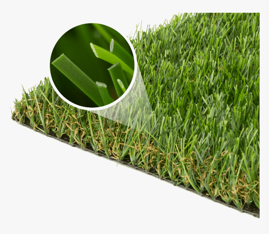 Lawn, HD Png Download, Free Download