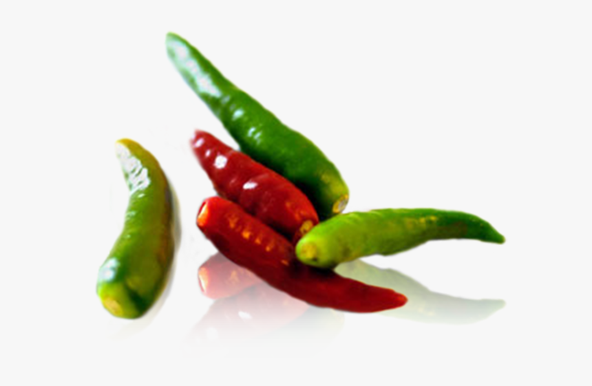 Bird's Eye Chili Png, Transparent Png, Free Download