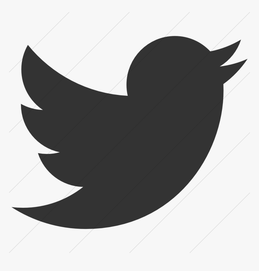 Transparent White Png Social Media Icons Twitter Icon Png Png