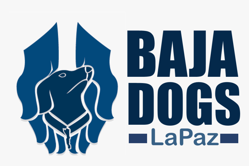 Baja Dogs La Paz, Inc - Baja Dogs La Paz, HD Png Download, Free Download