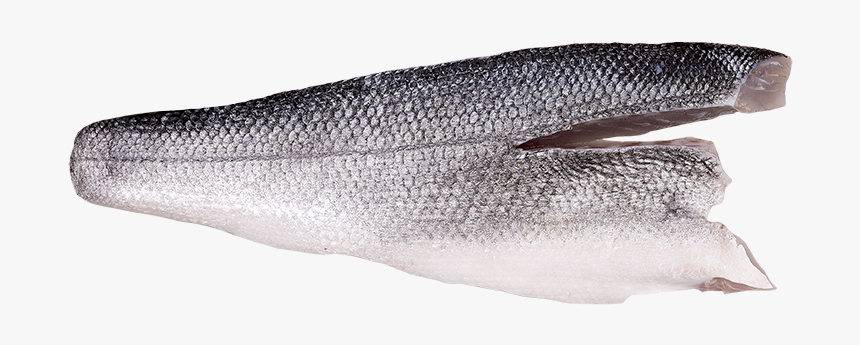 Sardine, HD Png Download, Free Download