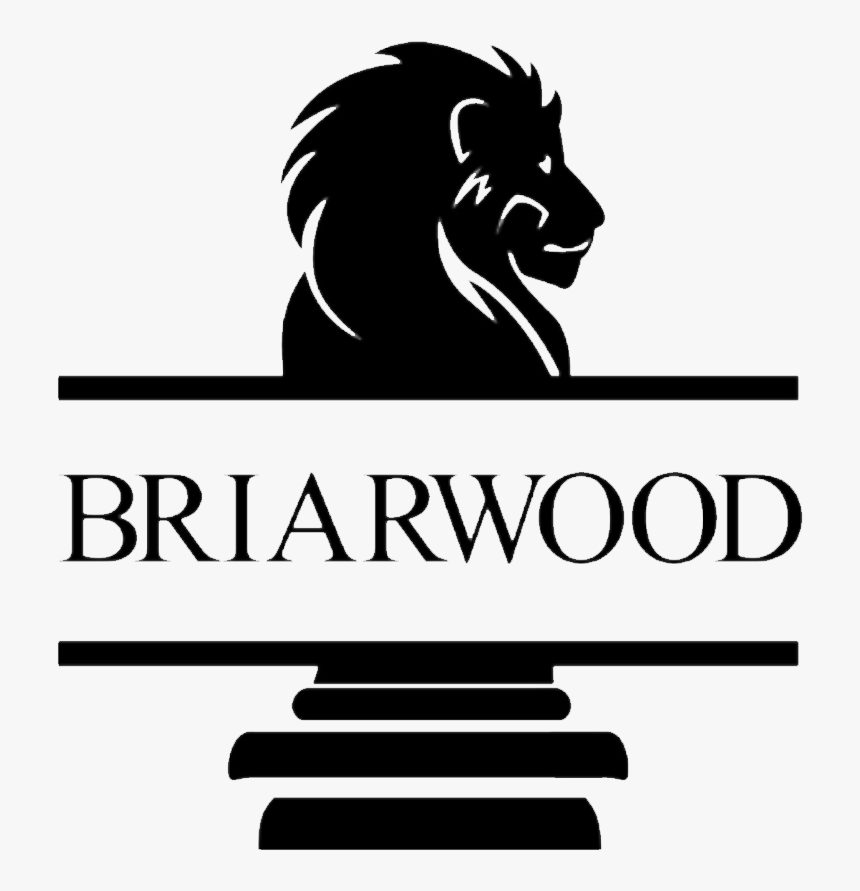 Briarwood Entertainment - Graphic Design, HD Png Download, Free Download