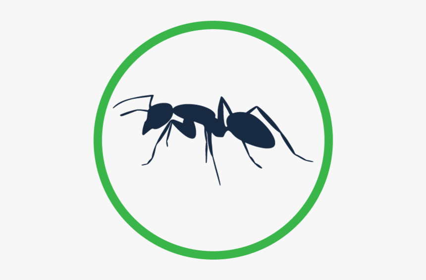 Lokalpestcontrol Service Icons Pests Dark, HD Png Download, Free Download