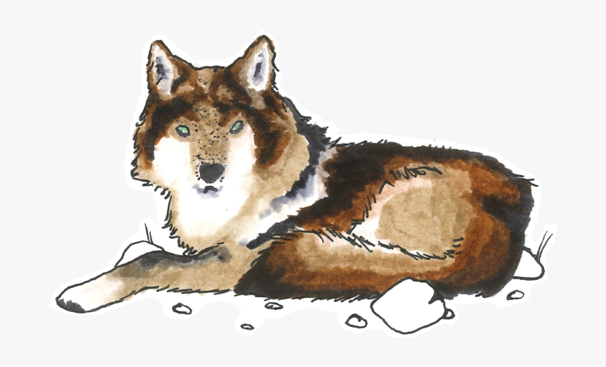 Mackenzie River Husky, HD Png Download, Free Download