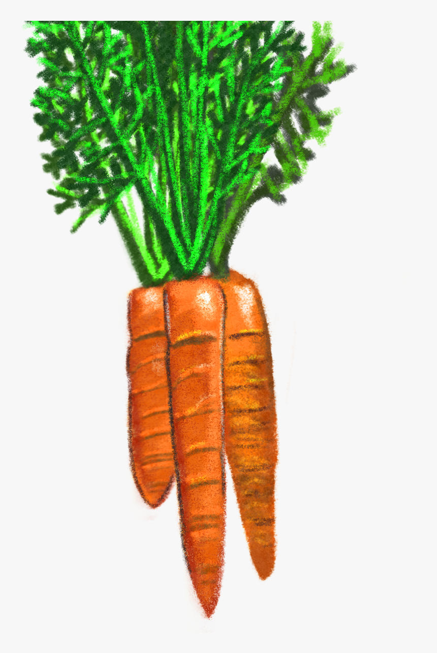 much-of-the-grocery-list-changed-over-time-and-some-clip-art-hd-png