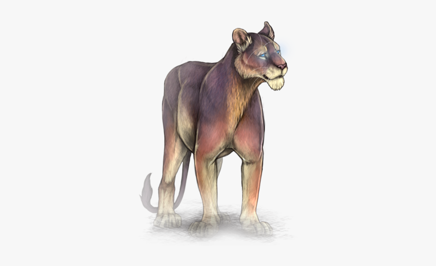 Lion, HD Png Download, Free Download