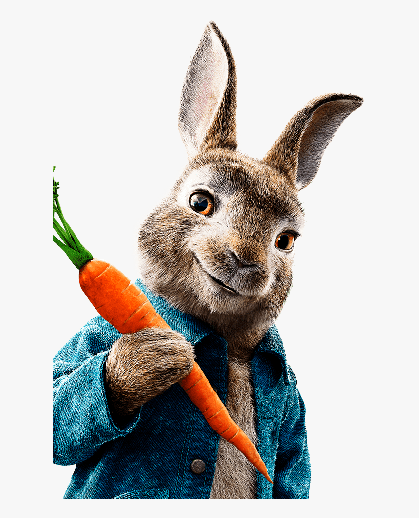 Peter Rabbit Png - Peter Rabbit Images Hd, Transparent Png, Free Download