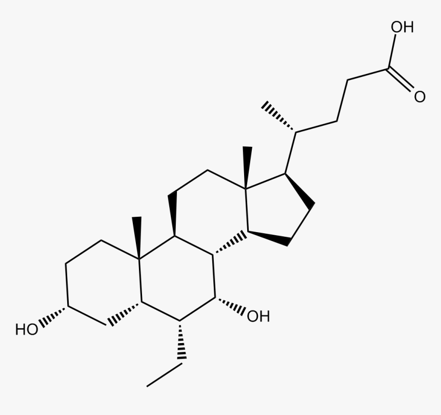 Obeticholic Acid Ec50, HD Png Download, Free Download