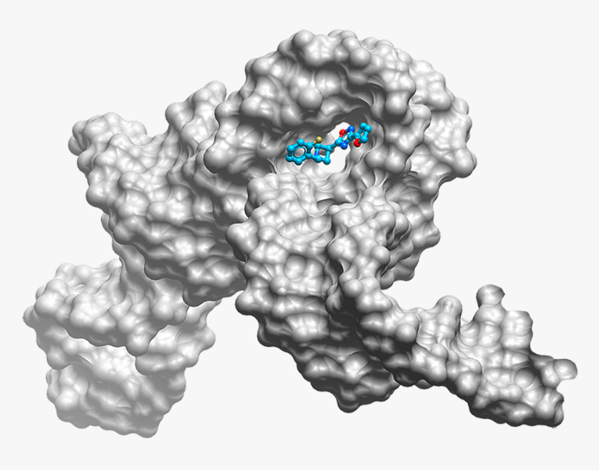 Small Molecule Drug Target, HD Png Download, Free Download