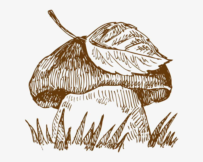 Drawn Pizza Transparent - Drawn Mushroom Png, Png Download, Free Download