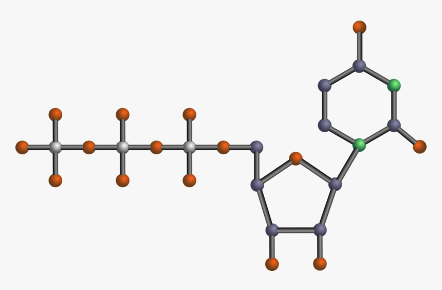 Transparent Dna Clipart Png - Nucleotide Clipart, Png Download, Free Download