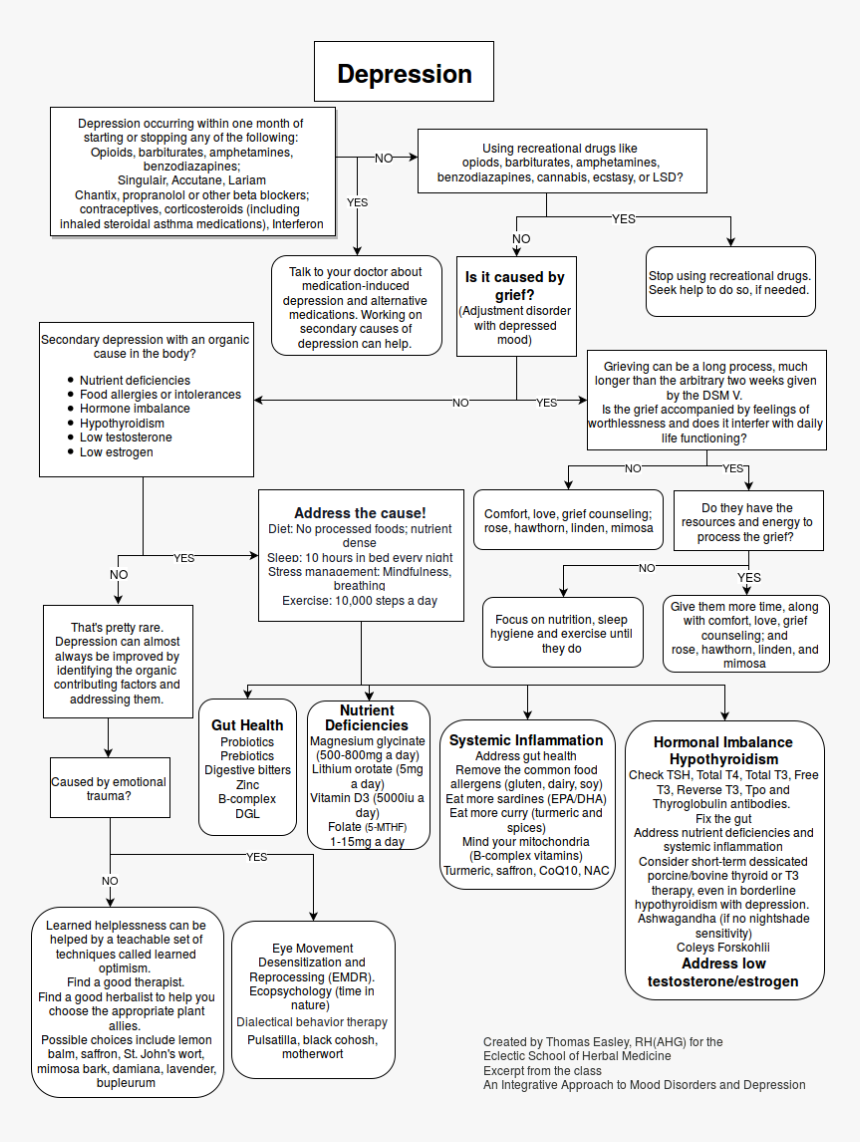 Depressionchartfinal - Approach To Depression, HD Png Download, Free Download