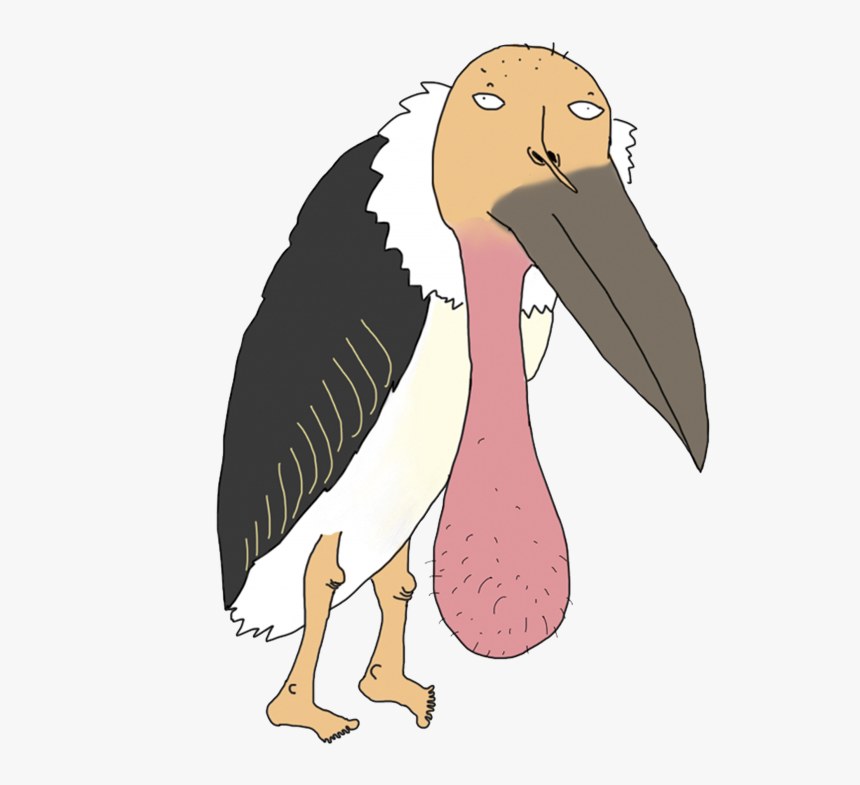 Marabou Stork, HD Png Download, Free Download