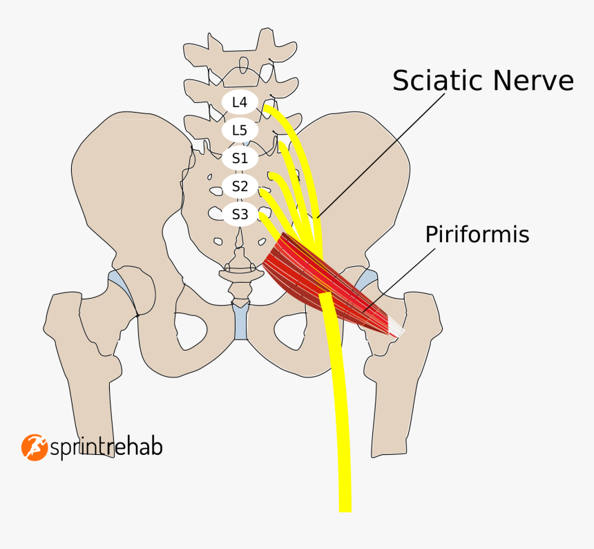 Irritation In Buttocks Treatment, HD Png Download, Free Download