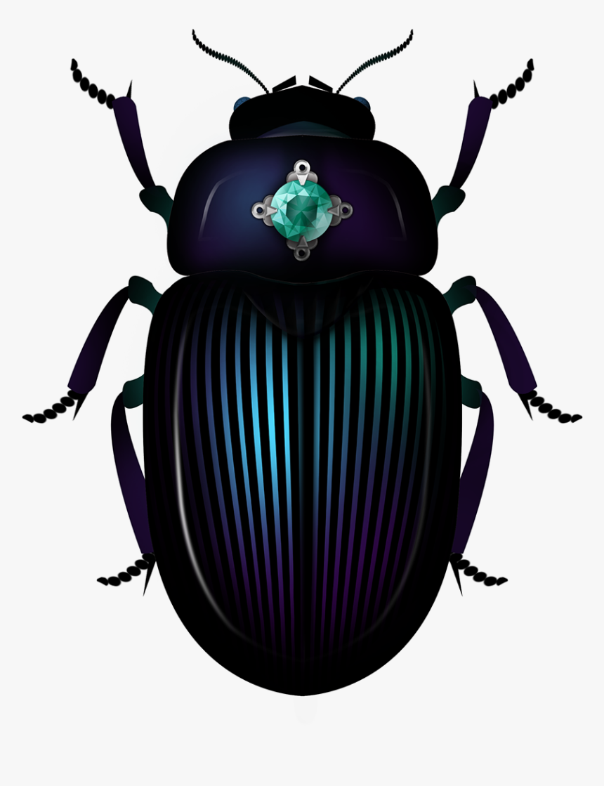 Dung Beetle, HD Png Download, Free Download