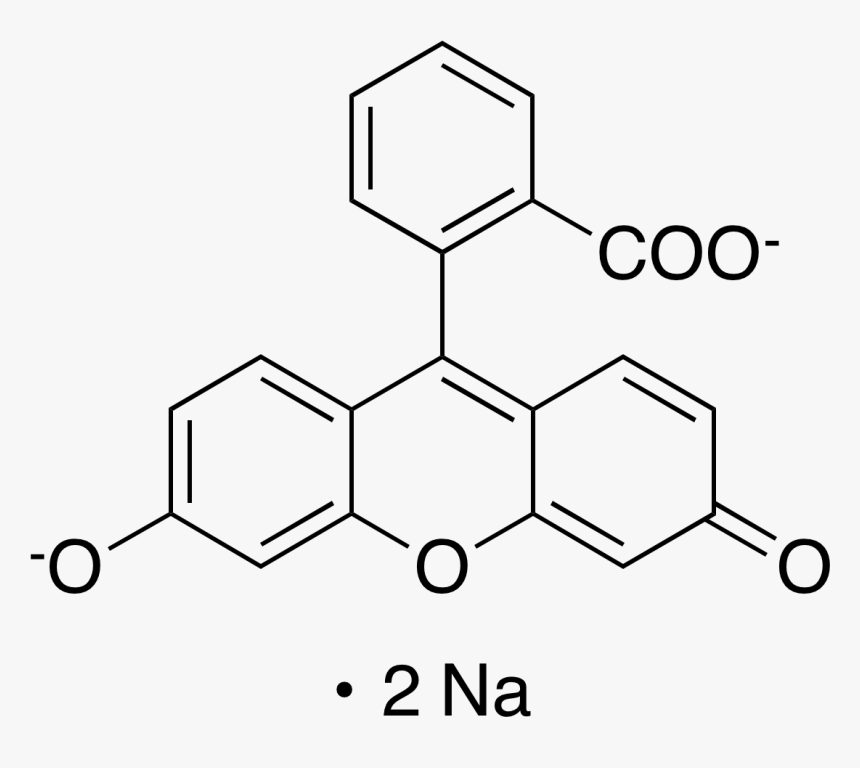 Fluorescein, Sodium Salt, C - Atto 590 Nhs Ester, HD Png Download, Free Download