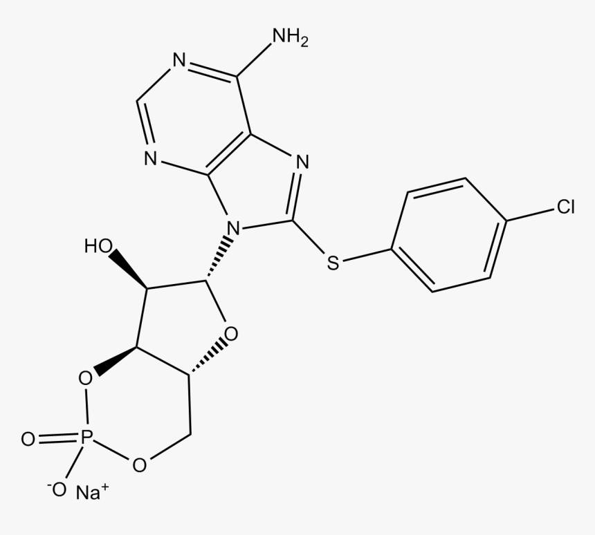 Diagram, HD Png Download, Free Download