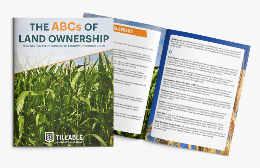 Brochure, HD Png Download, Free Download