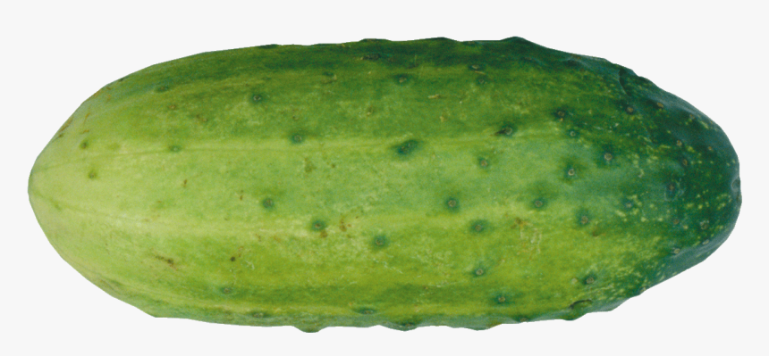 Gourd, HD Png Download, Free Download