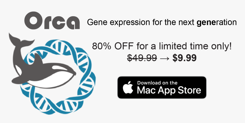 Dna Icon, HD Png Download, Free Download