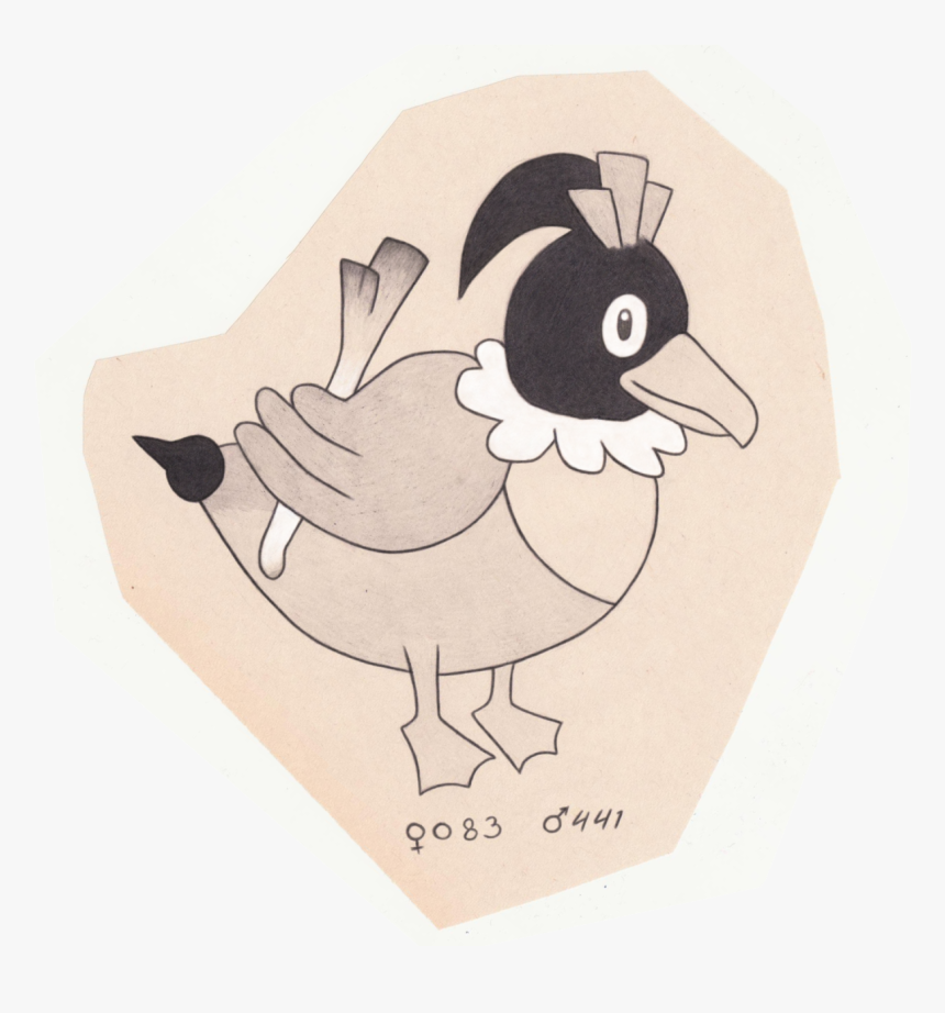 Wild Duck Pokemon - Illustration, HD Png Download, Free Download