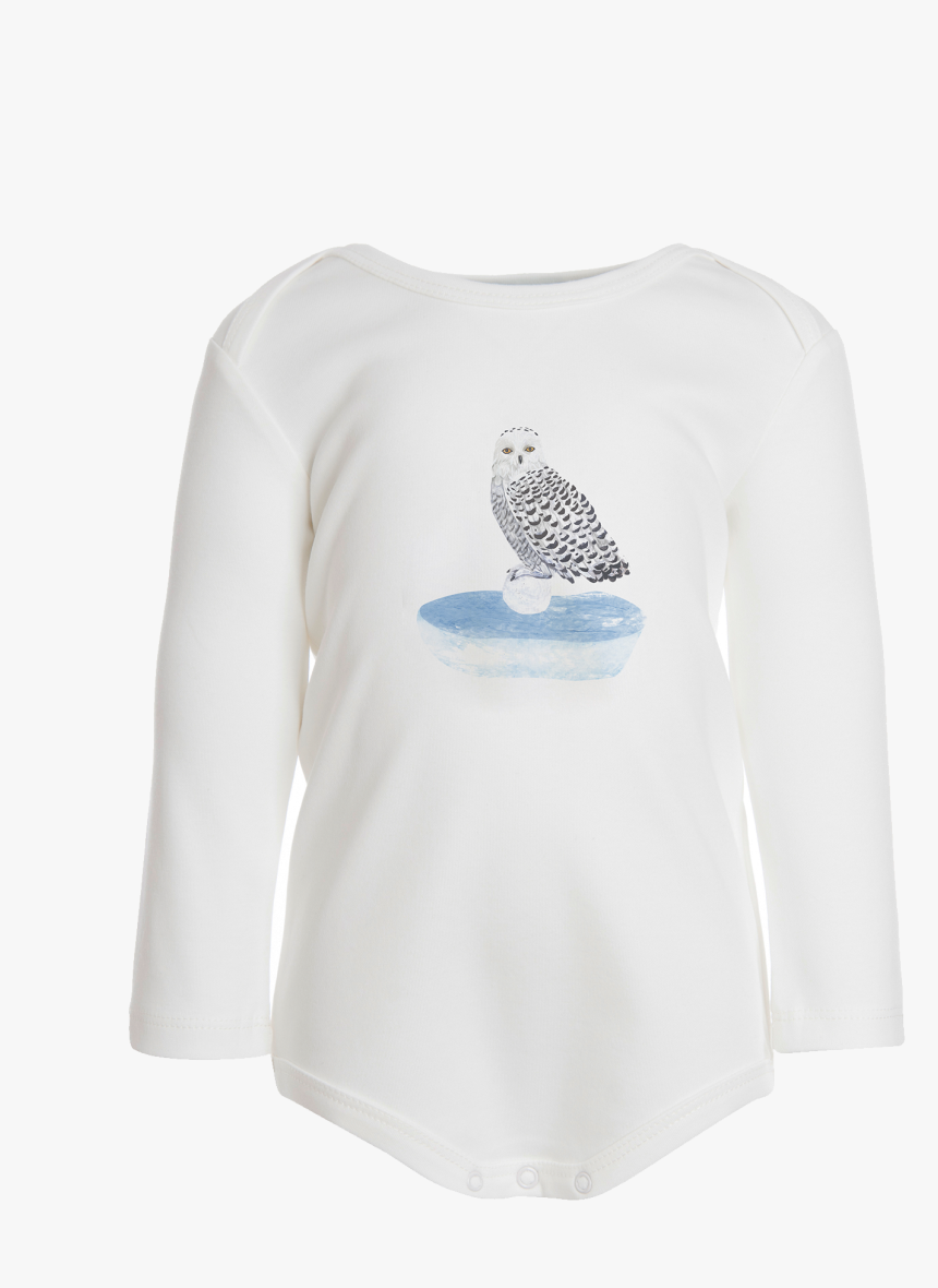 Ls Owl Body - Snowy Owl, HD Png Download, Free Download