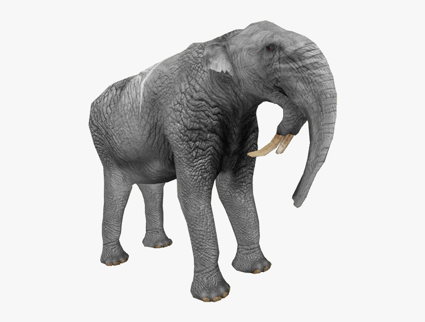 Indian Elephant, HD Png Download, Free Download